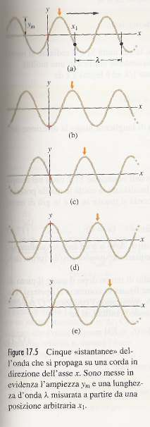 Onde armoniche (approfondimento) Definiamo ancora altri due parametri: ω= 2 π ν Velocità angolare o pulsazione k = 2 π λ Numero d onda