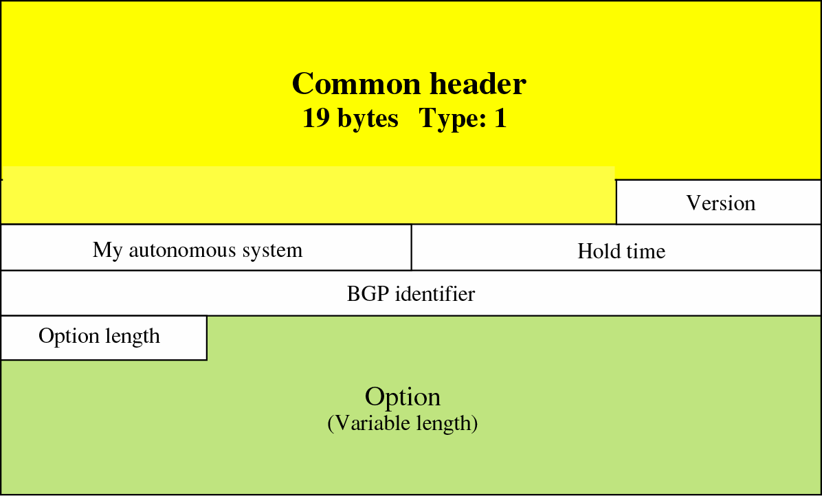 Messaggi di Open Usati per creare relazioni di prossimità (peering) I router rispondono con messaggi di keepalive (solo header comune) Identificativo dell