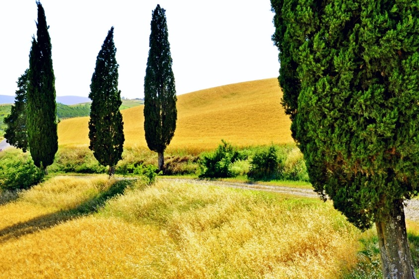 Bagno Vignoni Pienza Per ulteriori info, scrivetemi!