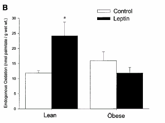 Leptino-resistenza nell obesità La leptina stimola l ossidazione degli acidi grassi nel muscolo scheletrico in soggetti normopeso ma non obesi Steinberg et al, Am J