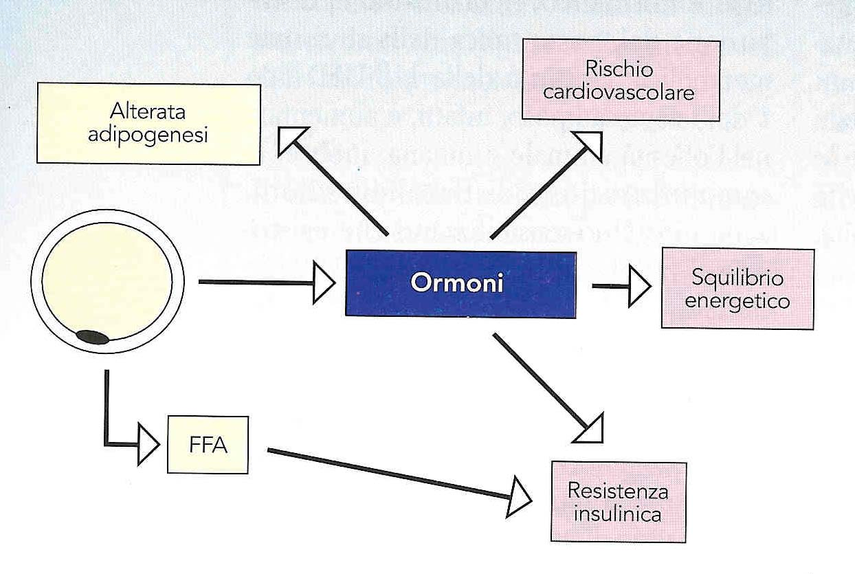 Ormoni del tessuto