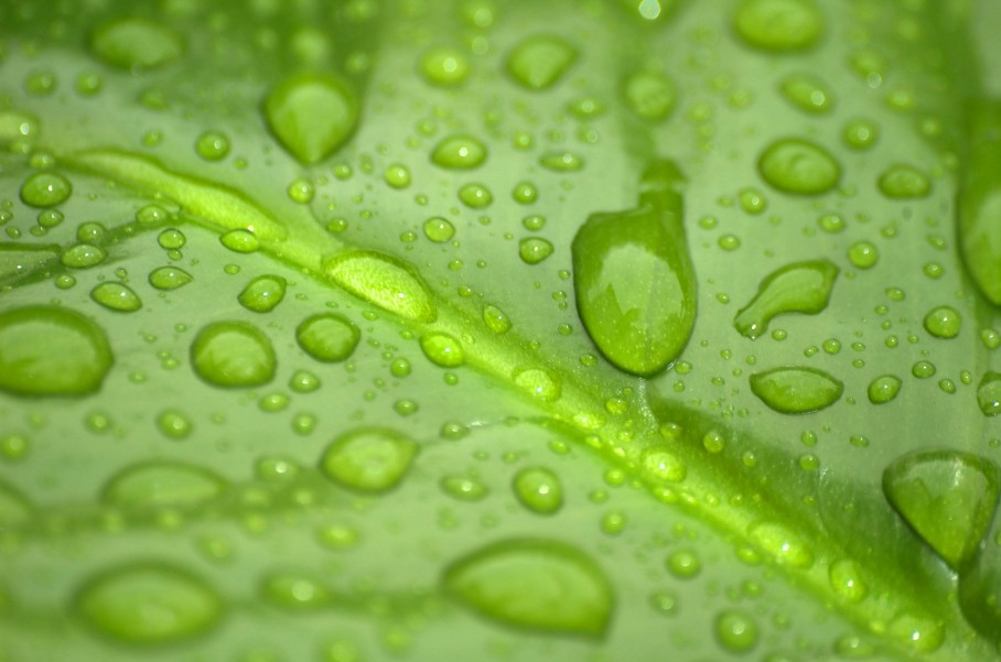 La Forza Le gocce d acqua sono tenute