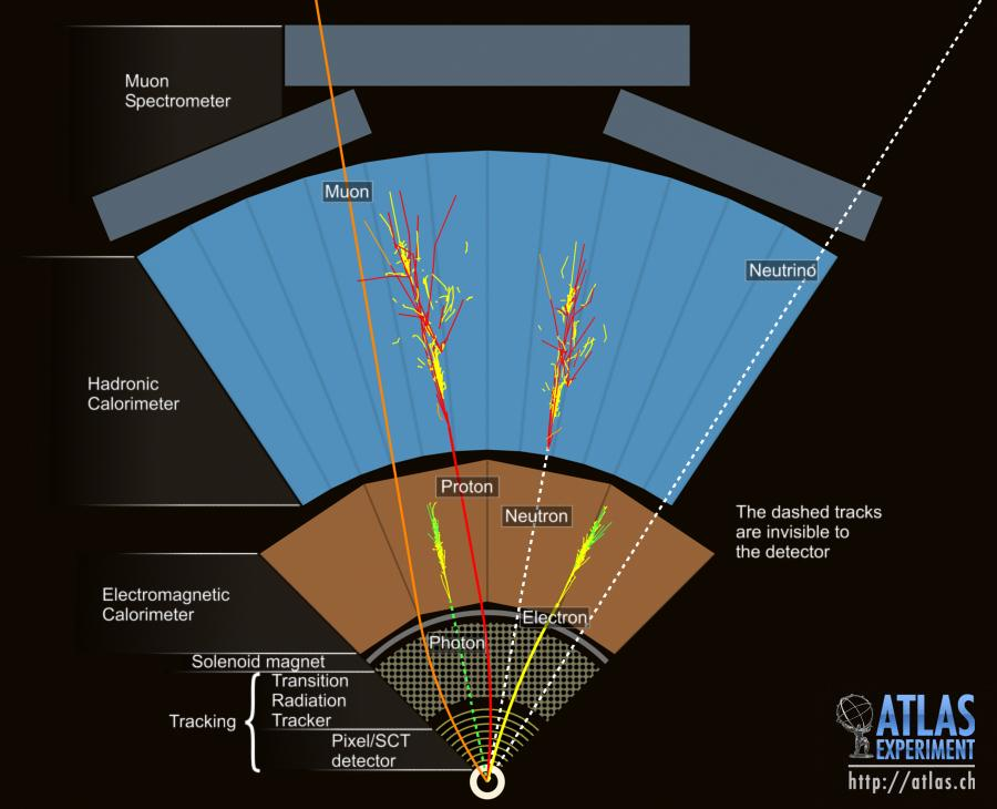 I rivelatori di particelle Strati concentrici di macchine forografiche per