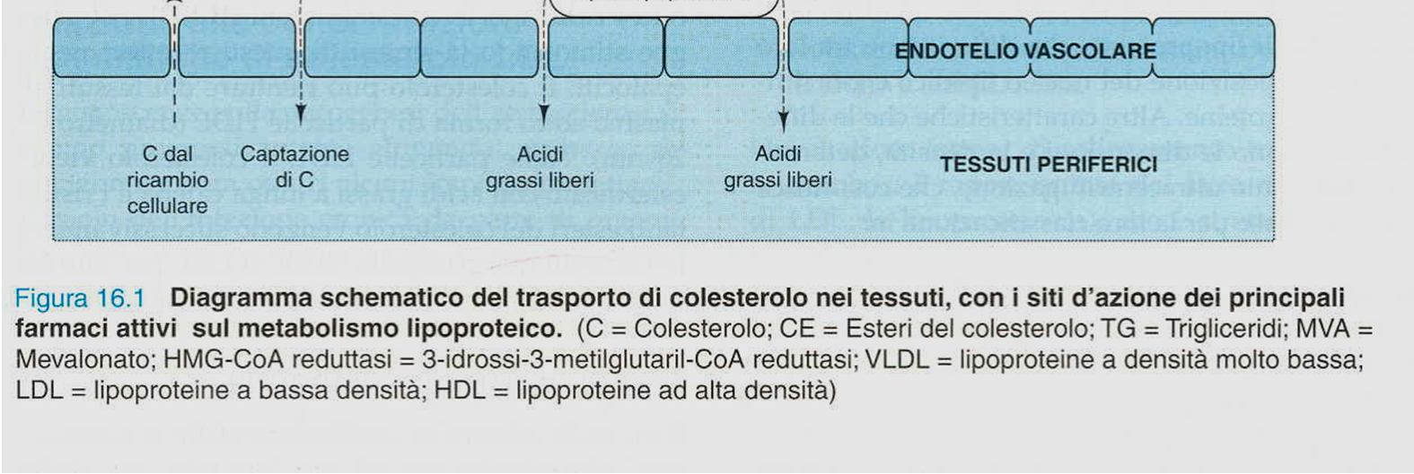 La regolazione dei