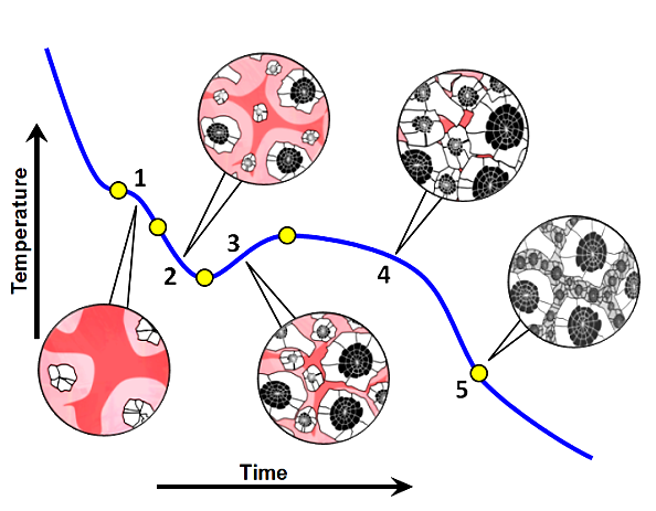 Analisi termica La trasformazione eutettica delle ghise 1. Nucleazione dell austenite 2.