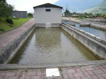 Allevamento e reintroduzione del gambero di fiume La vasca di allevamento Stipulata convenzione tra il Parco e UPS per l utilizzo