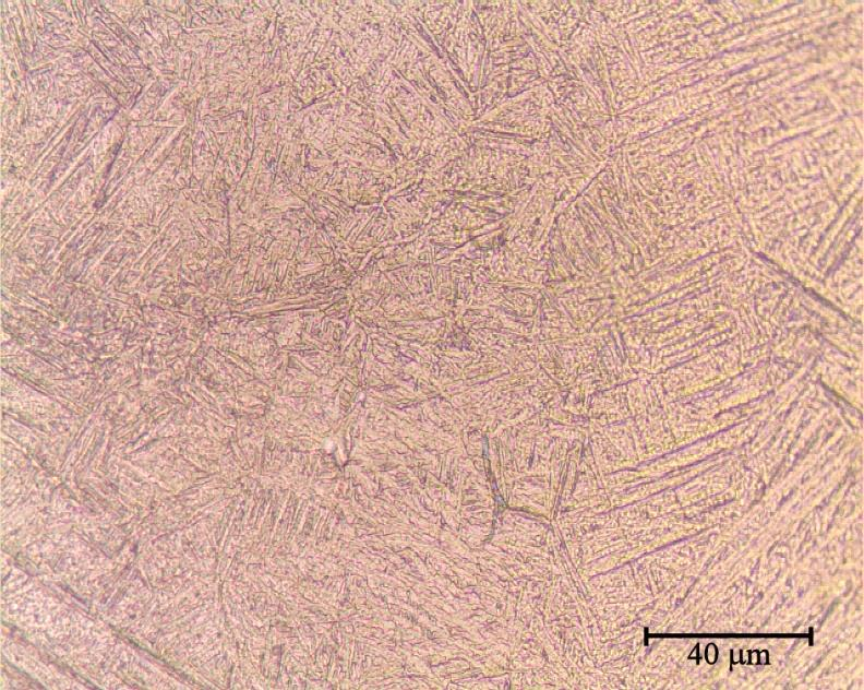 Analisi microstrutturale SEM dopo sinterizzazione e trattamento termico standard dopo trattamento