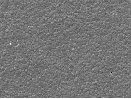 Capitolo 6 Risultati e Discussione a b c 5 µm 5 µm 20 µm Figura 69. Micrografie SEM del tape NiO/GDC + C.B. serigrafato con inchiostro (CuO)PVP-HEC 3.