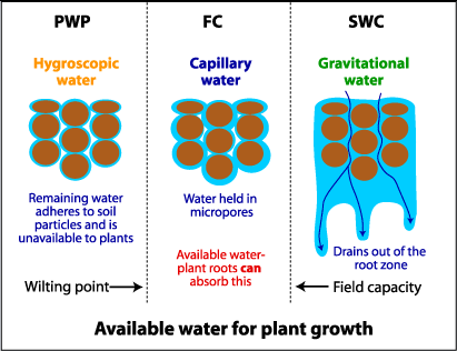 Quanta acqua trattiene il terreno?