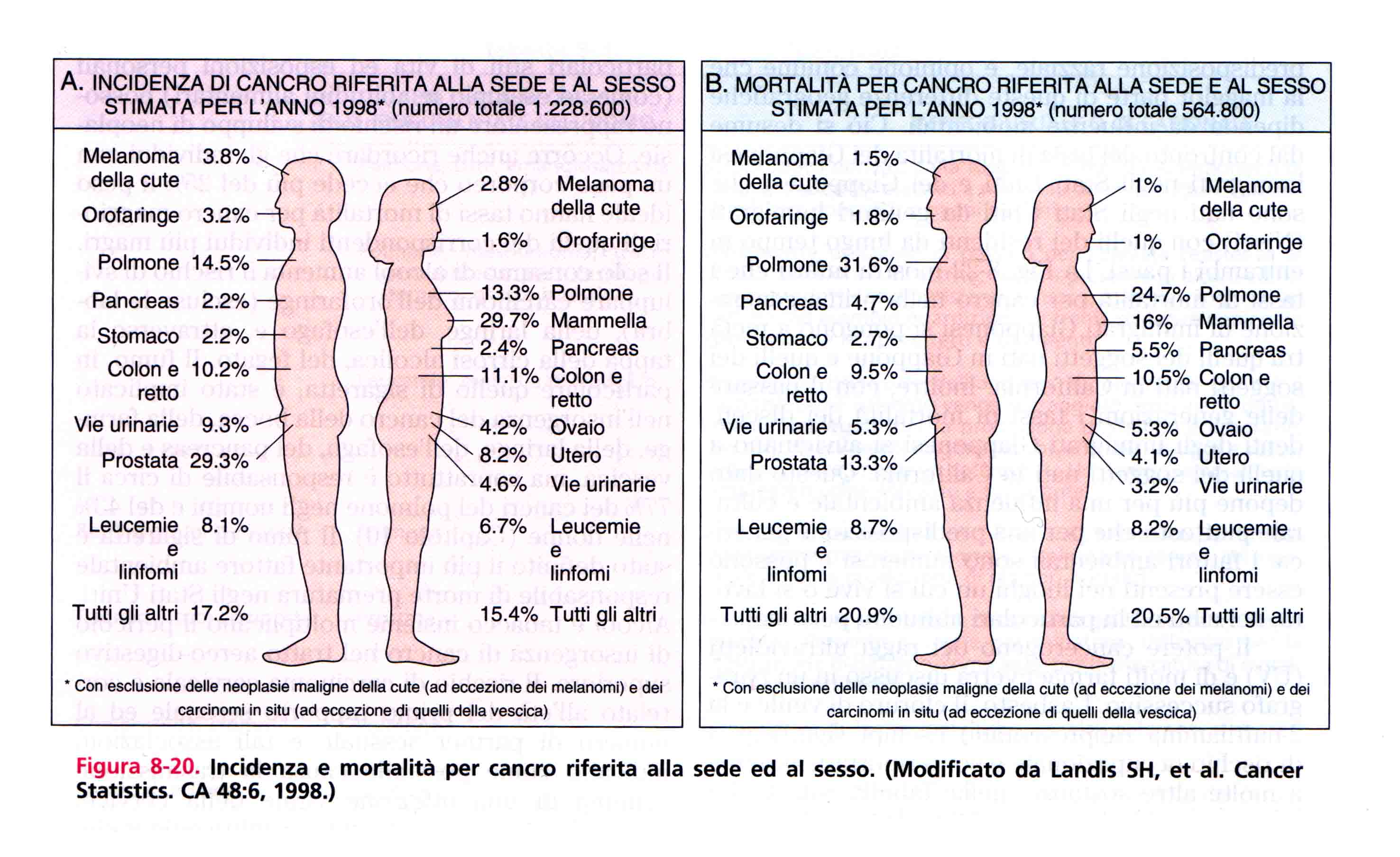 Epidemiologia dei tumori Ruolo del sesso: Incidenza e