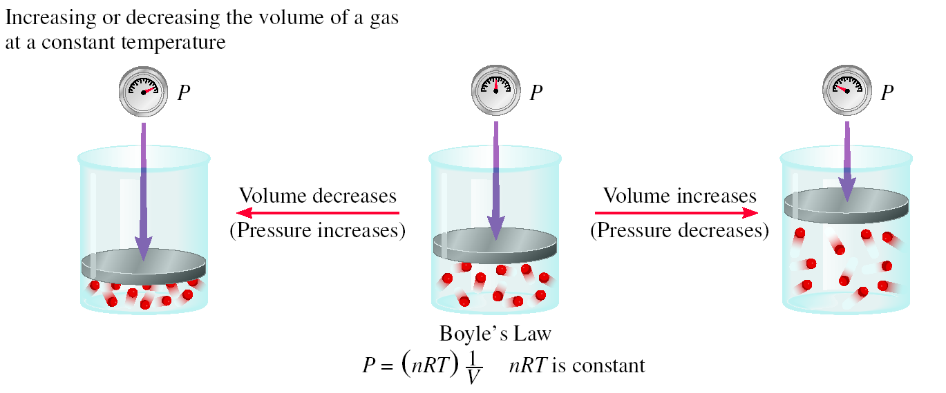 Boyle s Law Riassunto