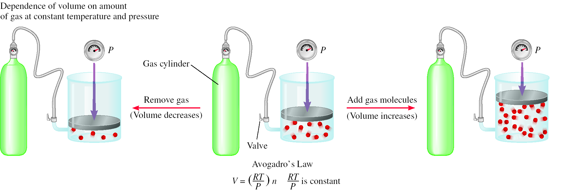 Avogadro