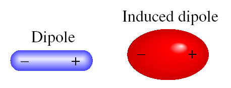 Forze Intermolecolari Forze di Dispersione (London) Forze attrattive che sono il risultato di dipoli