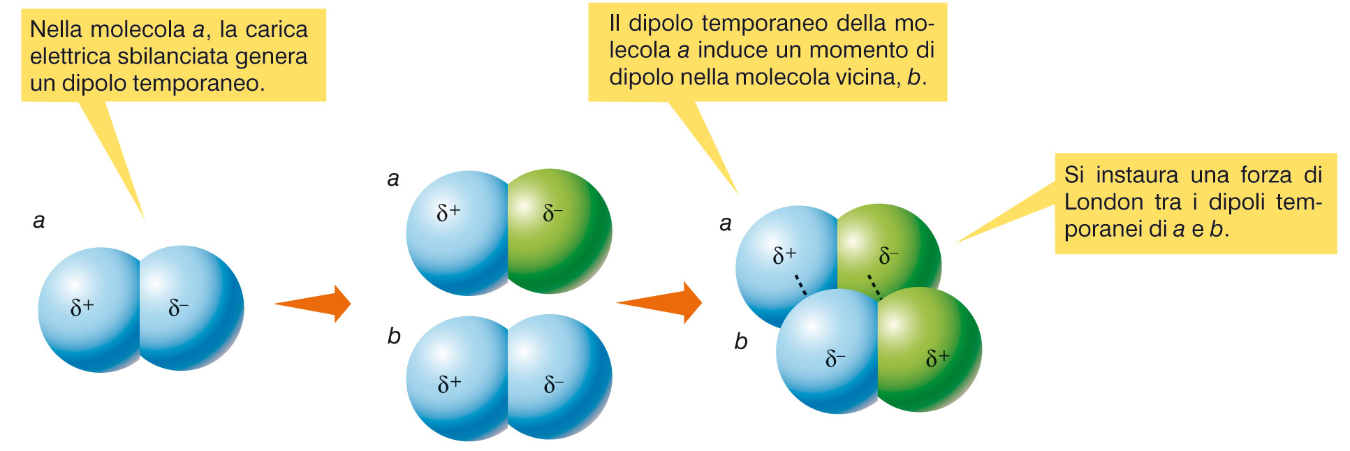 3. Le forze dipolo-dipolo e le forze di London Le forze di London sono interazioni elettrostatiche dovute all