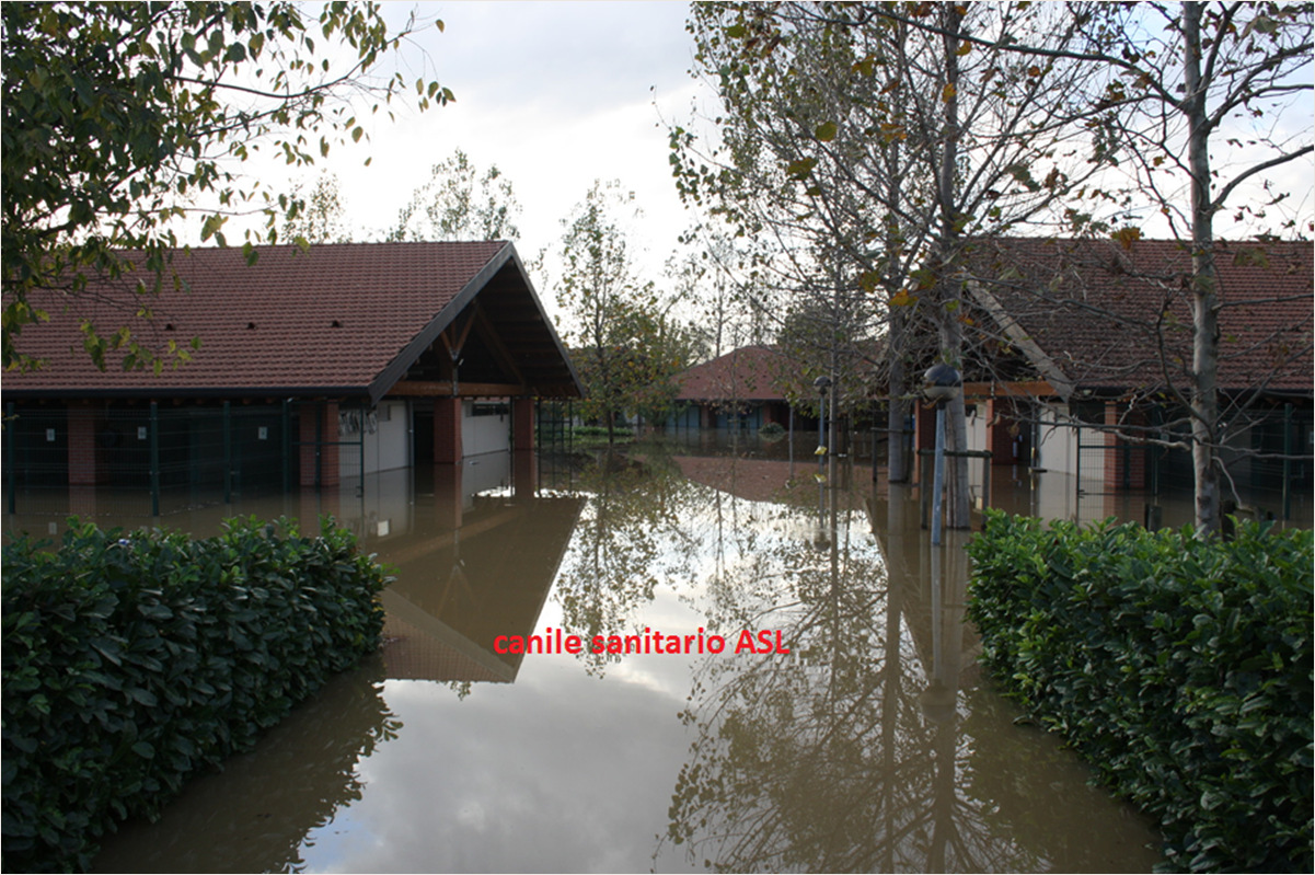 Nella notte fra il 15 ed il 16 novembre l alluvione: Il canile sanitario ed il rifugio sotto 2 metri d acqua.