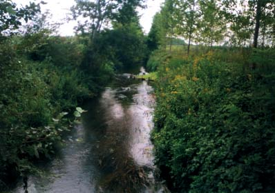 APPLICAZIONE DELL INDICE DI FUNZIONALITÀ FLUVIALE (IFF) AL SISTEMA IDROGRAFICO DEL FIUME TICINO Il Cavo Nuovo origina dalla Roggia Magna presso la tenuta Occhio (circa 69 m 