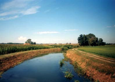 RELAZIONI DI SINTESI DEI CORSI D ACQUA INDAGATI Il Cavo Morasca origina a monte di Cascina Sabbione e scorre per circa 4,4 km (quota attorno a 61 m s.l.m.) in Comune di Carbonara Ticino, confluendo infine nel Colatore Gravellone.