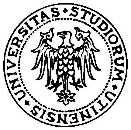 UNIVERSITÀ DEGLI STUDI DI UDINE Facoltà di Ingegneria Corso di Laurea Specialistica in Ingegneria Gestionale dell Informazione Dipartimento di