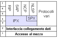 Esempi di architetture di rete: (3) IPSX/SPX NCP protocollo principale di applicazione (Netware Core Protocol) che può usare SPX ma anche IPX; usato per la stampa, la condivisione di file e la posta