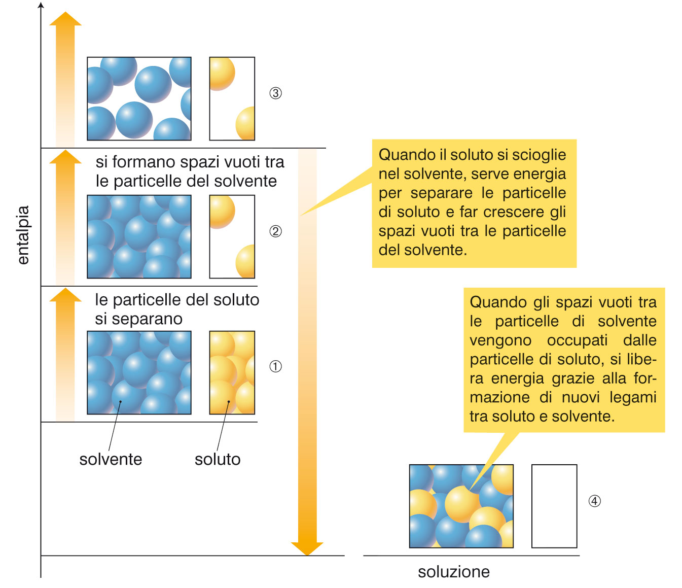 Perché le sostanze si sciolgono?