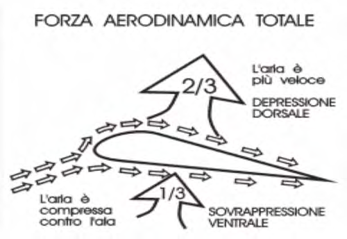 Sappiamo che le ali producono portanza sviando l aria verso il basso, seguendo in parte la curvatura inferiore del profilo, di conseguenza la pressione generata spinge verso l alto.