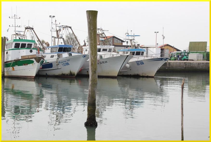 unità LLA PPEESSCCA IN I VEENEETTO 22001155 LA FLOTTA Una componente caratterizzante il comparto della pesca marittima del Veneto è la sua flotta.