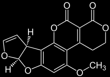 Sterigmatocistina - Aflatossina B 1 Contengono la stessa molecola 7,8-diidrofurano Sterigmatocistina Aflatossina B1 1.