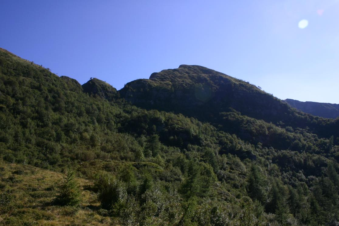 Rassegna sistematica delle specie ornitiche presenti nell area I dati raccolti confermano che la Foresta Demaniale Regionale Val Grigna rappresenta un biotopo di rilevante importanza per la