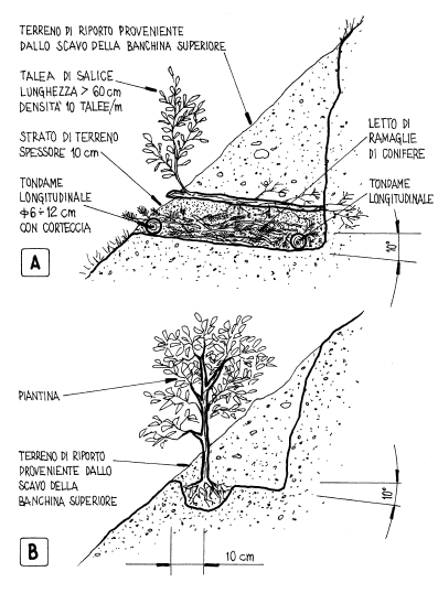 Interventi sulla morfologia della pendice Interruzione della continuità dei percorsi Cordonate vive 1. Stangame longitudinale con corteccia 2.