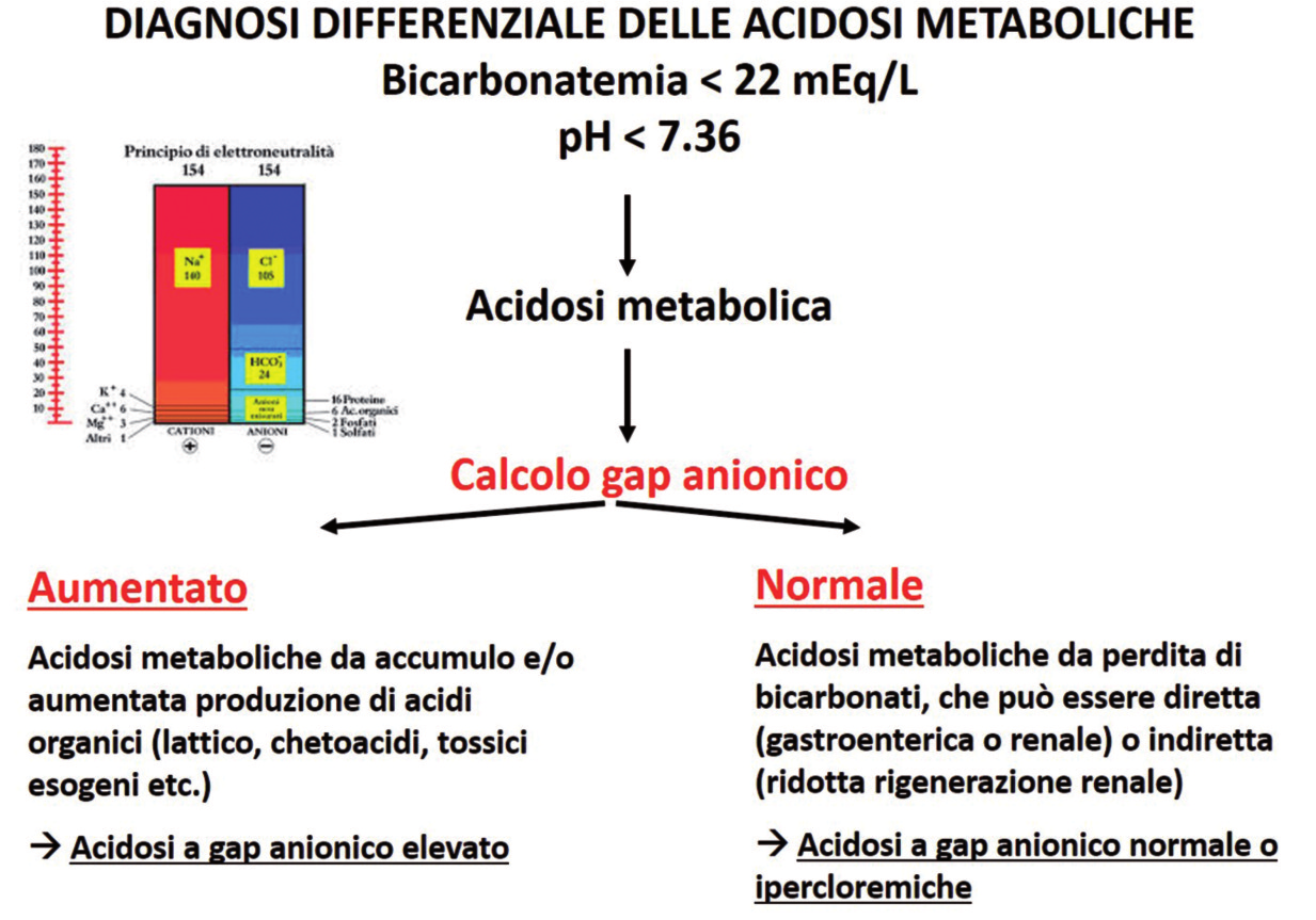 Queste condizioni vengono appellate Acidosi metaboliche a gap anionico elevato e possono essere sospettate ed individuate proprio dopo aver calcolato il gap anionico.