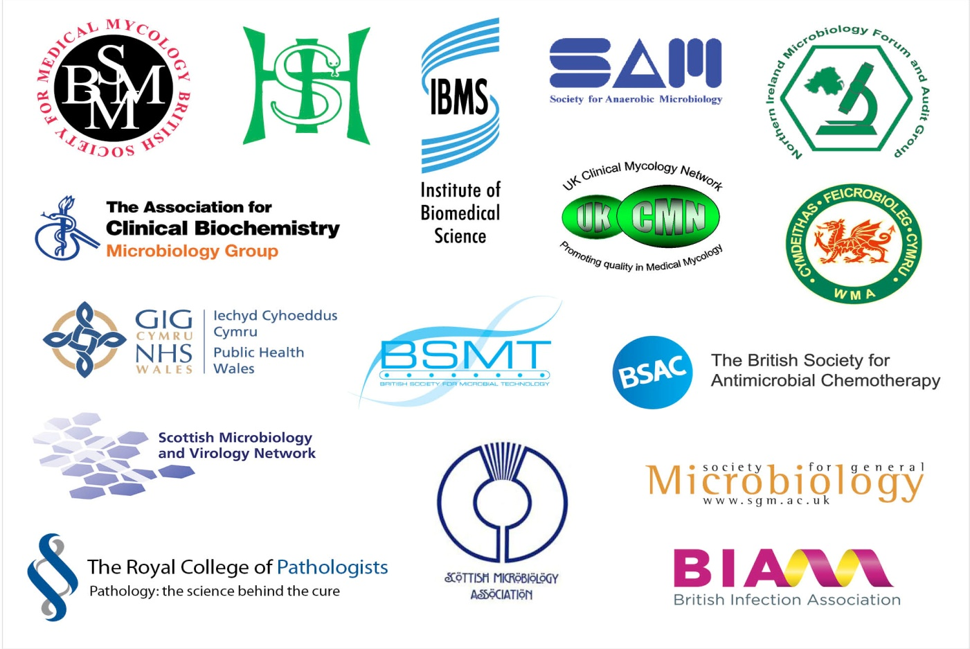 Ringraziamenti Le Procedure Standard del Regno Unito per le Ricerche Microbiologiche (SMI - Standards for Microbiology Investigations) sono sviluppate sotto l'egida dell Health Protection Agency