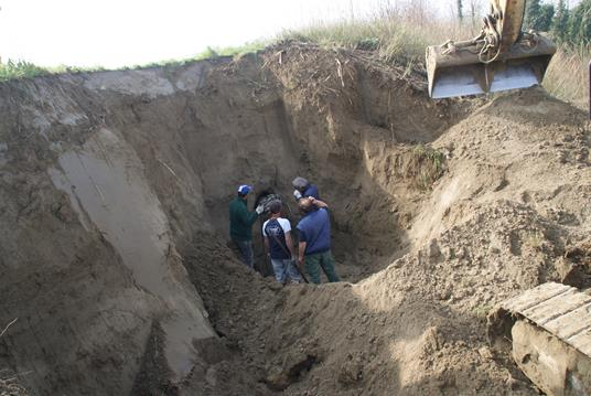 Somma Urgenza Passogatto, san Bernardino, Fusignano e Cotignola chiusura di tane di