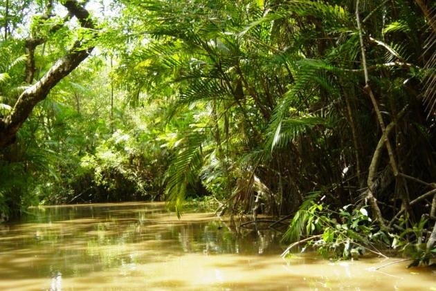 Il mondo amazzonico è un vero e proprio polmone verde, le poche città sono circondate da una natura insondabile e segnata dal fuoco dell Equatore, perché fuoco è un