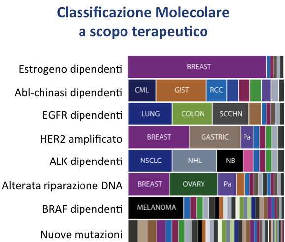 Per gentile concessione del Prof.