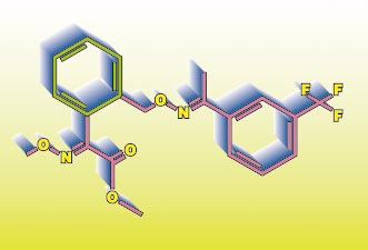 FLINT è il nuovo fungicida Bayer per la difesa di pomacee, vite, cucurbitacee e rosa, caratterizzato da ampio spettro d'azione e dalla innovativa forza mesostemica.