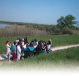 28 Museo NatuRa 29 VISITE GUIDATE AL MUSEO Durata: 1 ora e 30 minuti Quota individuale: 3 I BRUTTI ANATROCCOLI Il variopinto mondo degli uccelli. Drammatizzazione e divertenti travestimenti.