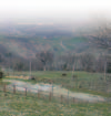 68 Osservatorio Naturalistico Valmarecchia 69 Monte Zucca (visita alla sorgente del fiume Marecchia), Eremo di Saiano, La Giungla dei castagni di Uffogliano.