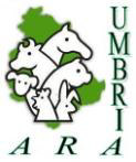 ARA UMBRIA INFORMAZIONE&ZOOTECNIA ARA Umbria Associazione Regionale Allevatori dell Umbria SEDE LEGALE ED OPERATIVA di Perugia: Via O.P. Baldeschi, 59 06073 Taverne di Corciano (PG) Tel.