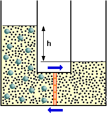 Membrana semipermeabile M = concentrazione molare (moli/l, molarità), R = costante gas (0.082 atm L mol -1 K -1 ) T temperatura assoluta in gradi Kelvin (t C + 273.15).