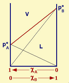 Soluzione di 2 liquidi volatili In una soluzione ideale costituita da due liquidi, A e B completamente miscibili tra loro ed entrambi volatili, i componenti seguono la legge di Raoult, indicata dalle