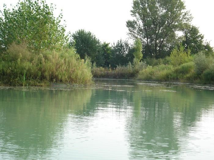 Pescare in provincia di Brescia 2016 a cura della Struttura Agricoltura, Foreste