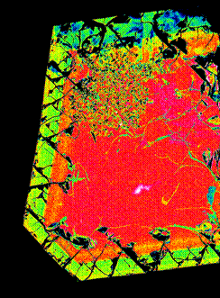 Contenuti Produzione e prezzo del silicato di zirconio Giacimenti di minerali zirconiferi Processo di produzione Radioattività dello zircone (dati di letteratura) Normativa internazionale