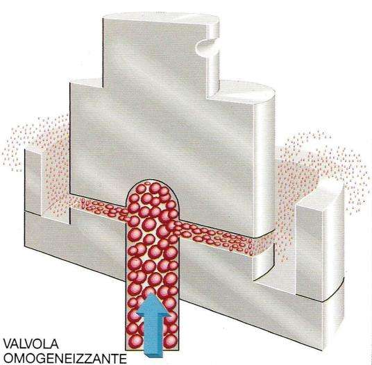 Valvola omogeneizzante classica con anello d impatto