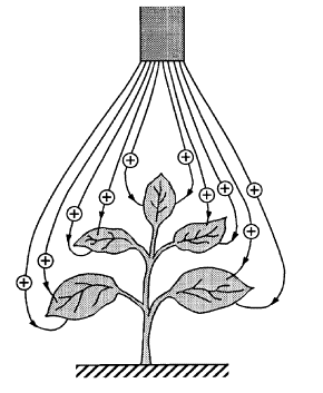 CARICA ELETTROSTATICA IN AGRICOLTURA Una nube di goccioline