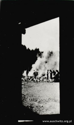 BIRKENAU LE PERSONE Foto scattate illegalmente dai membri del Sonderkommando nel 1944.