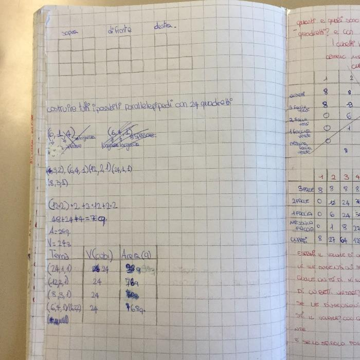 In questa attività l obiettivo era consolidare l idea che un parallelepipedo, sebbene