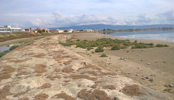 DOCUMENTAZIONE FOTOGRAFICA - ESEMPI Dalla documentazione fotografica è possibile evidenziare le variazioni nella crescita della vegetazione nel corso dei rilievi Il tratto centrale-nord dell'argine