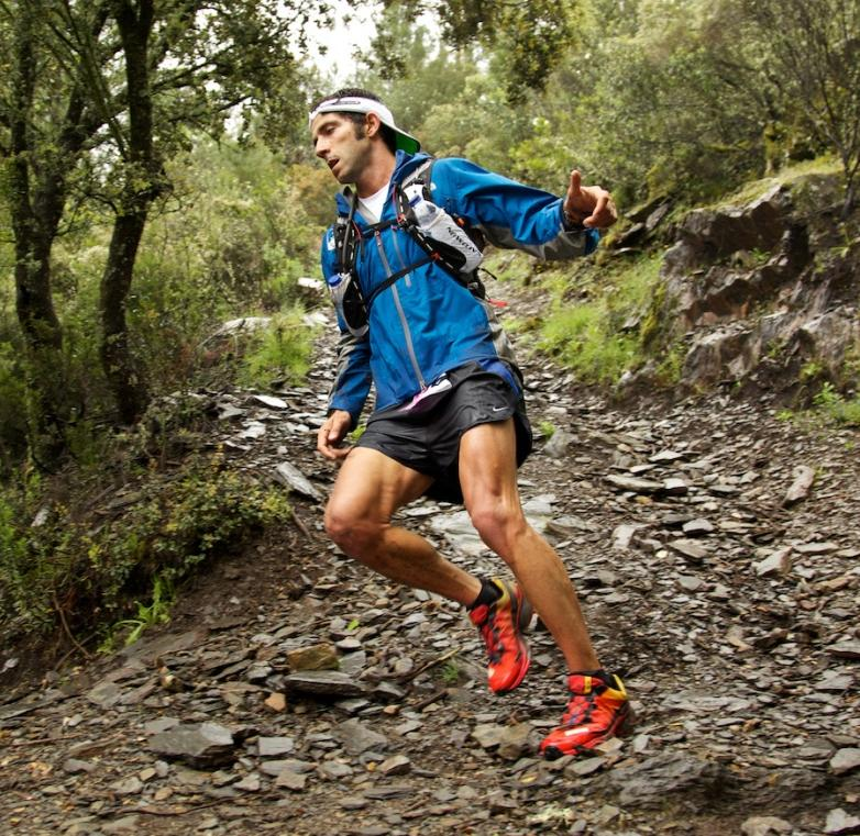 Atletica Leggera: Corse e concorsi in pista, Corse su strada,