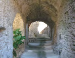 comune di Tresana Da non perdere Ruderi del castello di Tresana XIV-XVII sec. Imponenti resti di una torre quadrangolare e una torre circolare. Villecchia Borgo in galleria, chiesa di San Domenico.