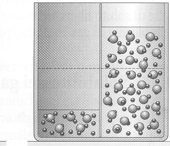 La pressione osmotica Sono arrivato all equilibrio P osmotica P idrostatica h Equazione di van t Hoff P osmotica δ c R T P osmotica mi e data dalla legge dei gas perfetti, considerando il soluto come